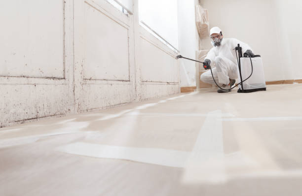 24/7 Emergency Mold Remediation experts in Jamestown, KY