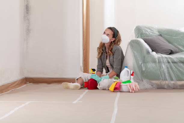 Reliable Mold Remediation contractor in Jamestown, KY by 24 Hour Mold Removal