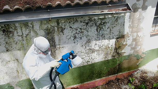 Top rated local Mold Remediation specialists in Jamestown, KY
